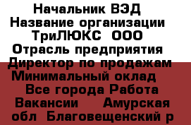 Начальник ВЭД › Название организации ­ ТриЛЮКС, ООО › Отрасль предприятия ­ Директор по продажам › Минимальный оклад ­ 1 - Все города Работа » Вакансии   . Амурская обл.,Благовещенский р-н